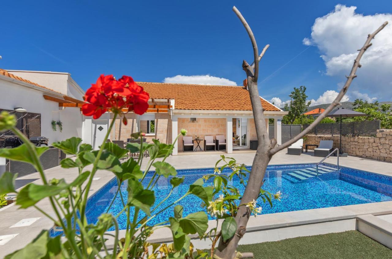 Apartment Holiday Home Doma, Cilipi Near Dubrovnik المظهر الخارجي الصورة
